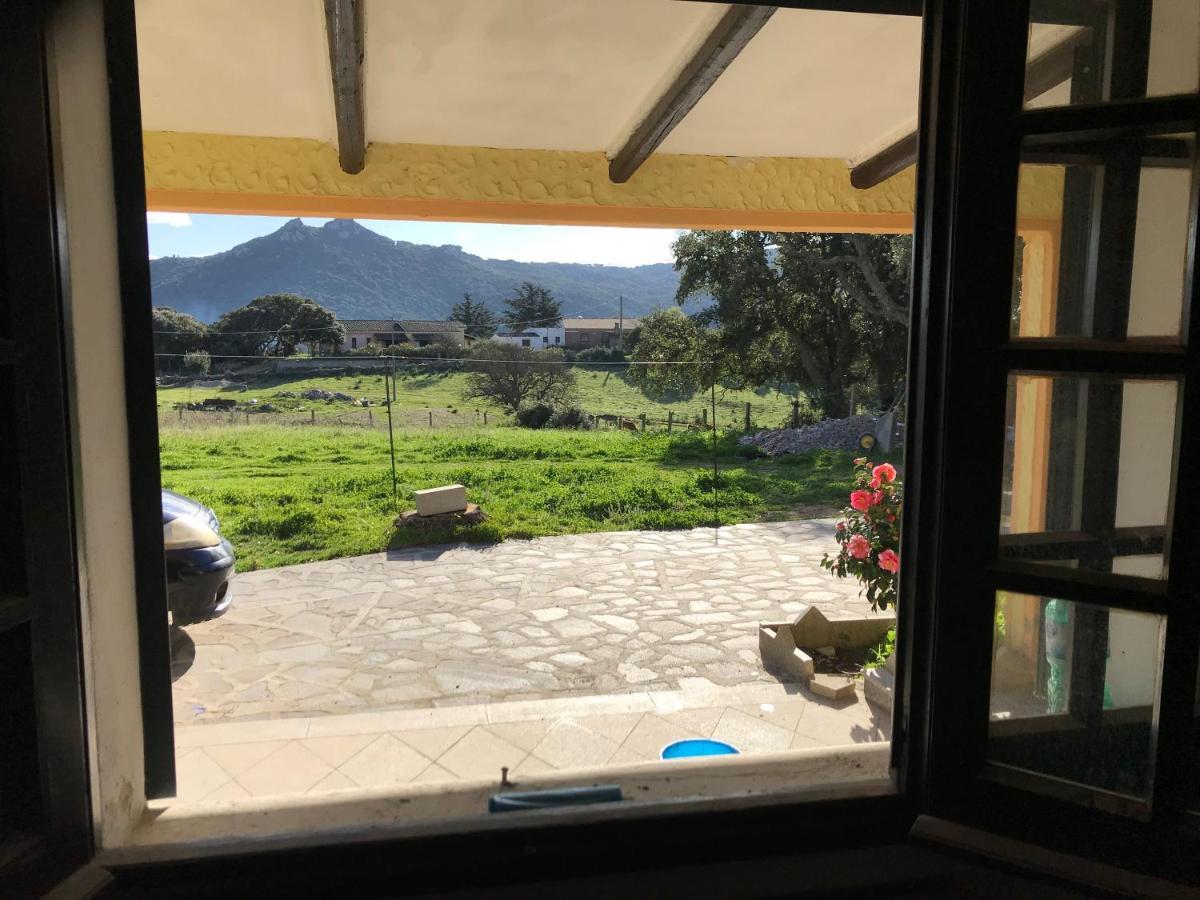 Casa Di Campagna In Gallura Luogosanto Buitenkant foto