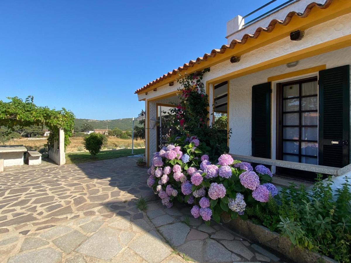 Casa Di Campagna In Gallura Luogosanto Buitenkant foto